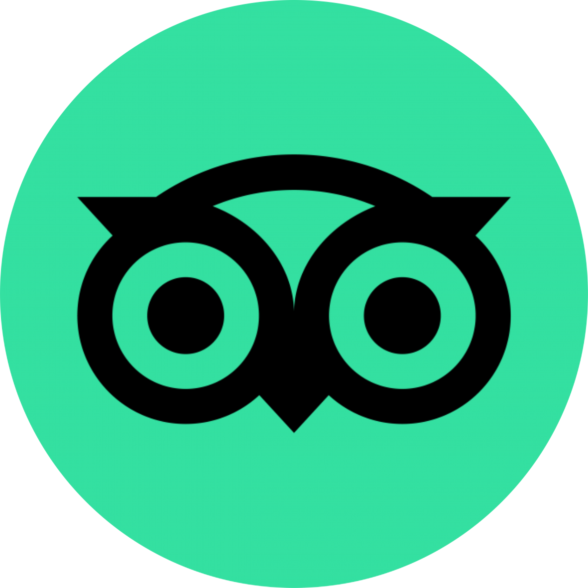 Tripadvisor Round